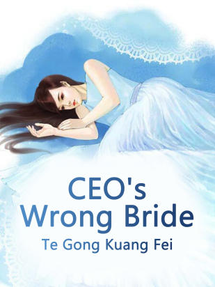 CEO's Wrong Bride